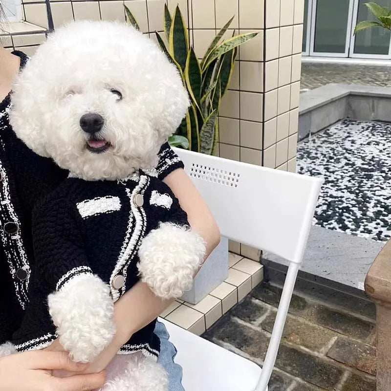 Korean style white puppy sweater with pearl collar detail on small dog, princess design pet clothing