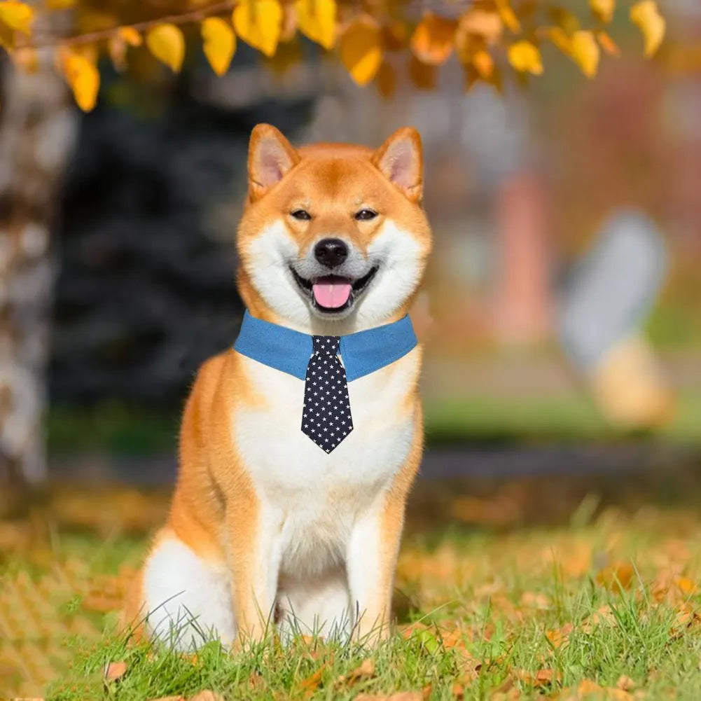 Adjustable denim dog collar with blue star pattern necktie fastened on a pet.