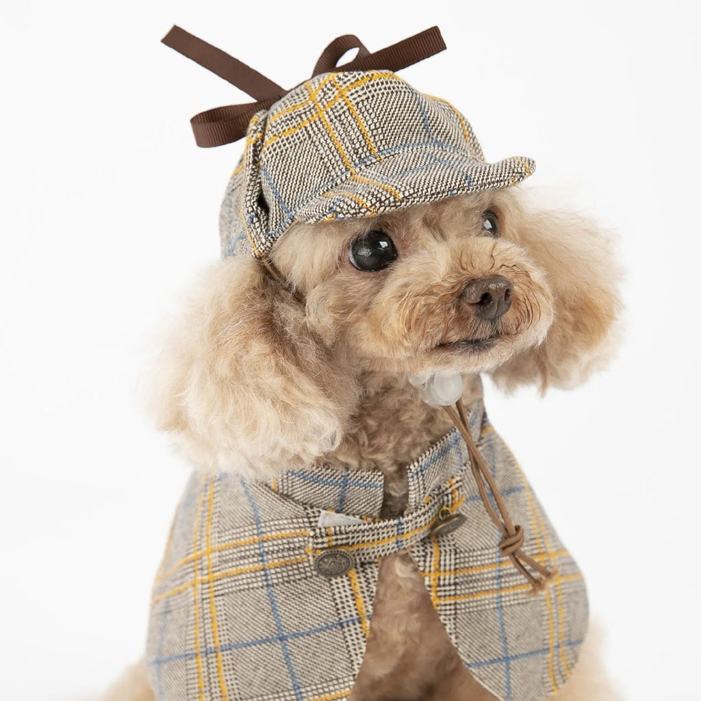 Camel-coloured cotton pet cloak with an adjustable hood, shown on a model dog.