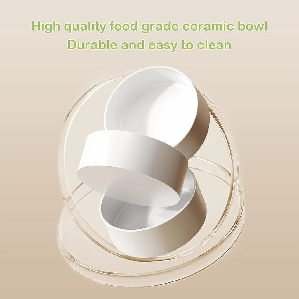 Ceramic elevated cat bowls with 15-degree tilted stand in green, white, or yellow colours