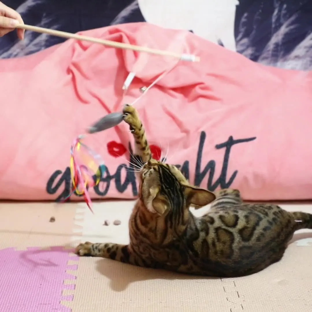 Interactive cat wand toy with wooden handle, colourful ribbons, catnip fish, and a bell.