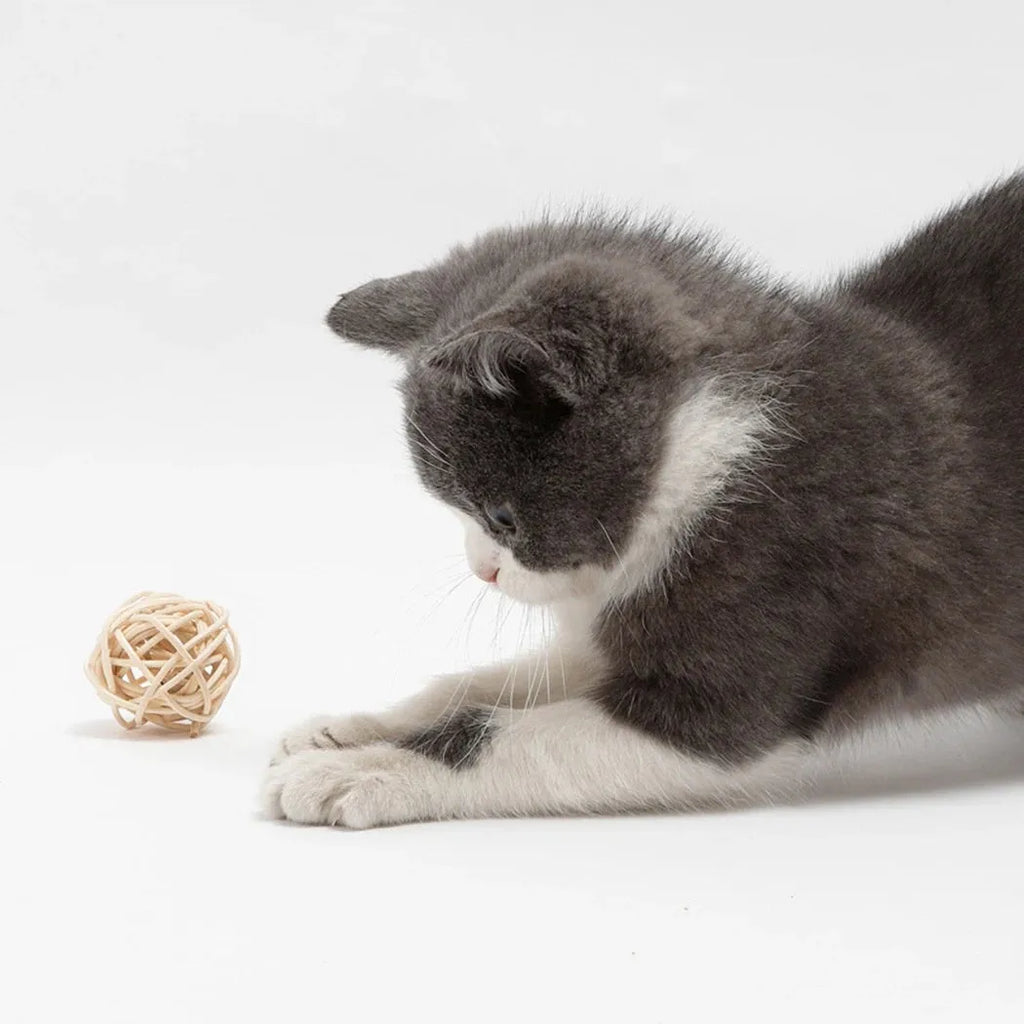 Two cat toys: hollow rattan ball with bell and colourful faux feather ball with plumes