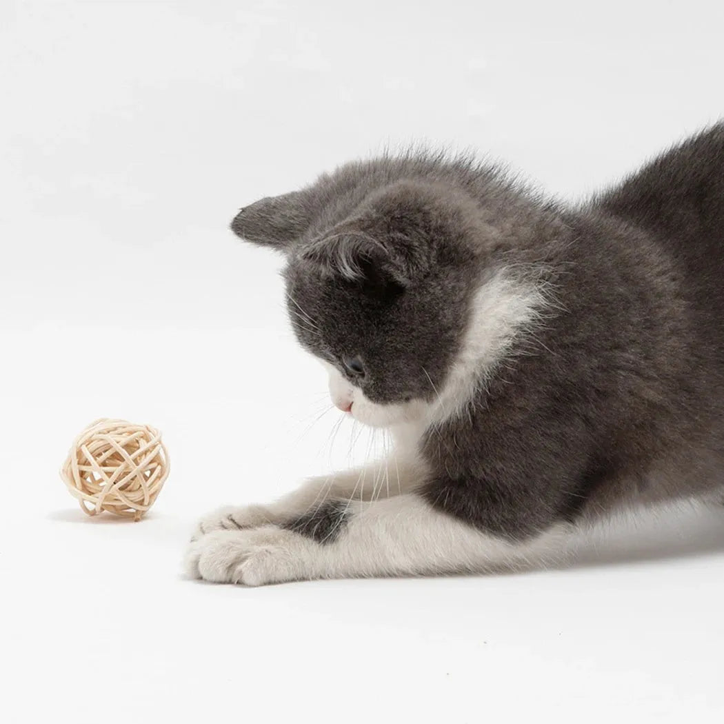 Two cat toys: hollow rattan ball with bell and colourful faux feather ball with plumes