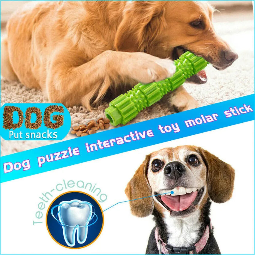 Green rubber dog chew toy with treat dispensing holes for aggressive chewers