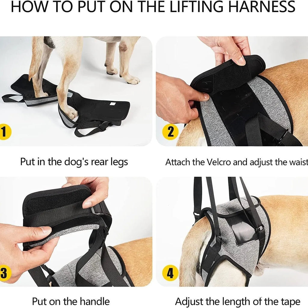 Grey neoprene recovery belt for injured dog rear leg support with adjustable fastenings