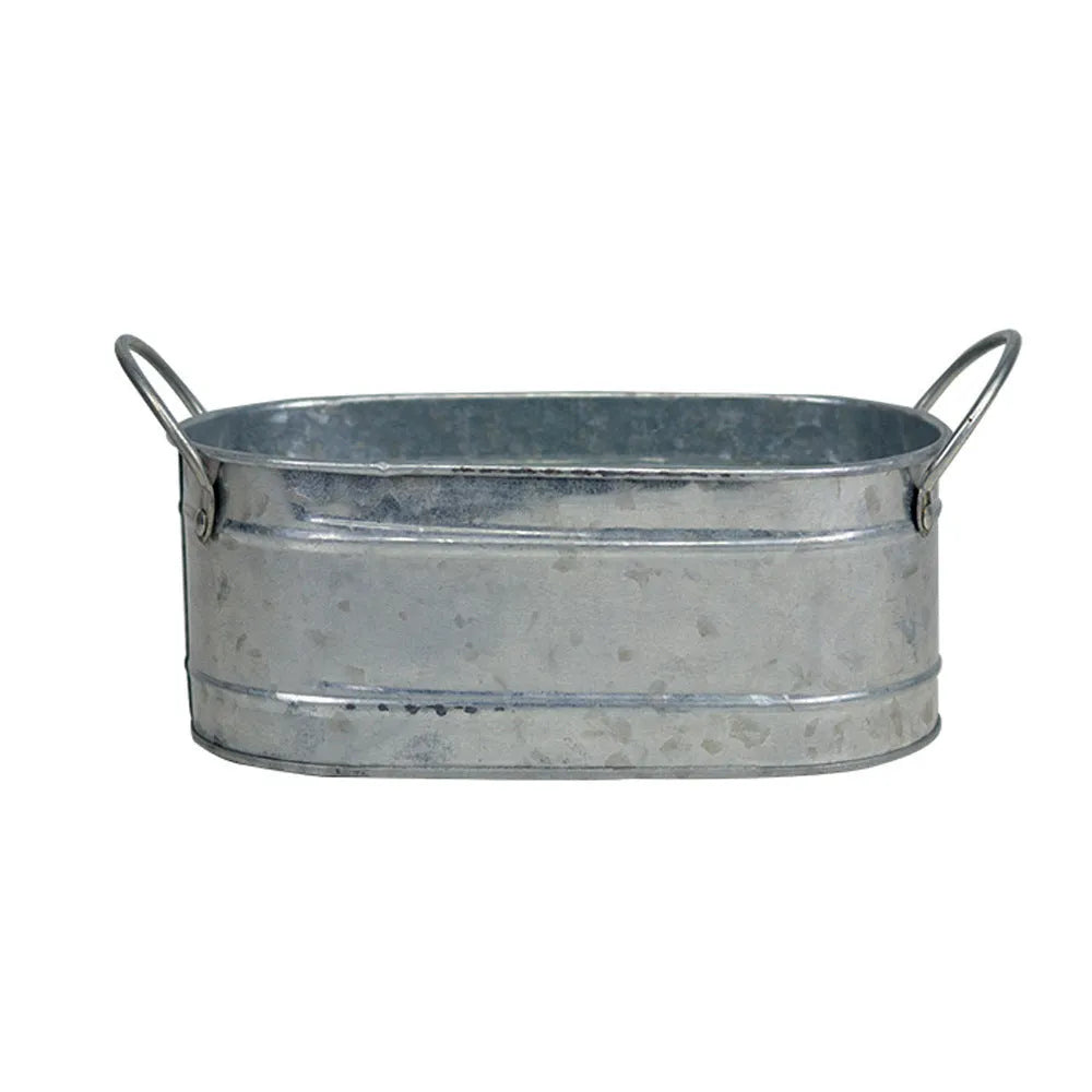 Rectangular galvanised iron desktop flowerpot for succulent plants.