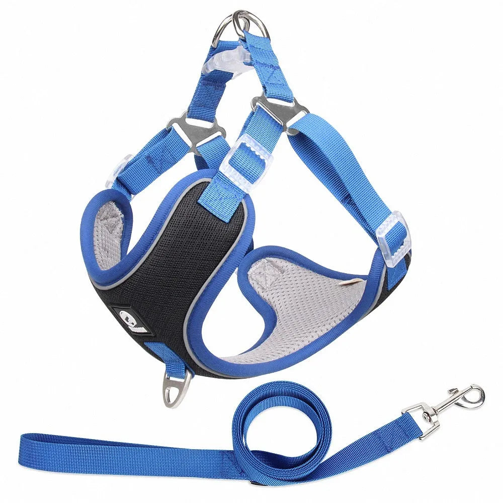 Adjustable breathable mesh dog harness with reflective piping in multiple colour options