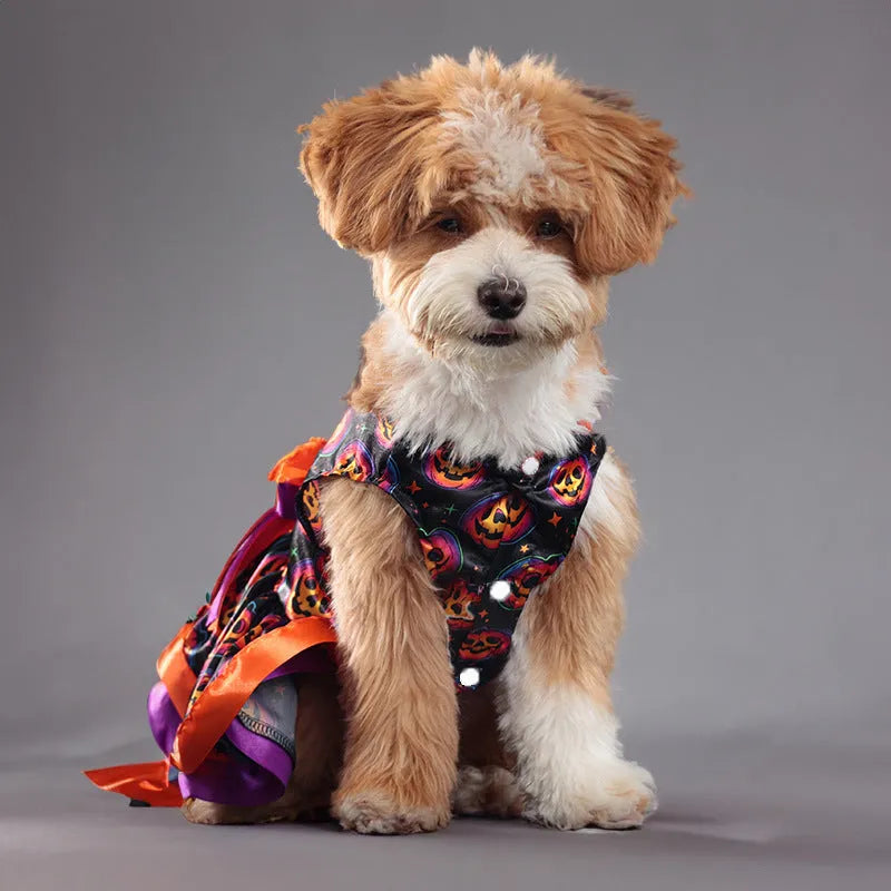 Halloween dog skirt with colourful pumpkin and skull designs in double-layer polyester fabric