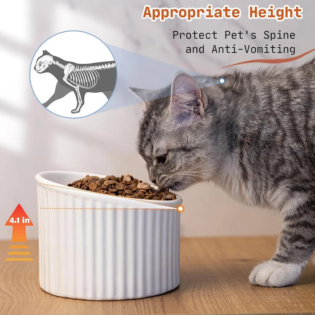 Dark green ceramic elevated cat bowl with tilted, round design for food or water.