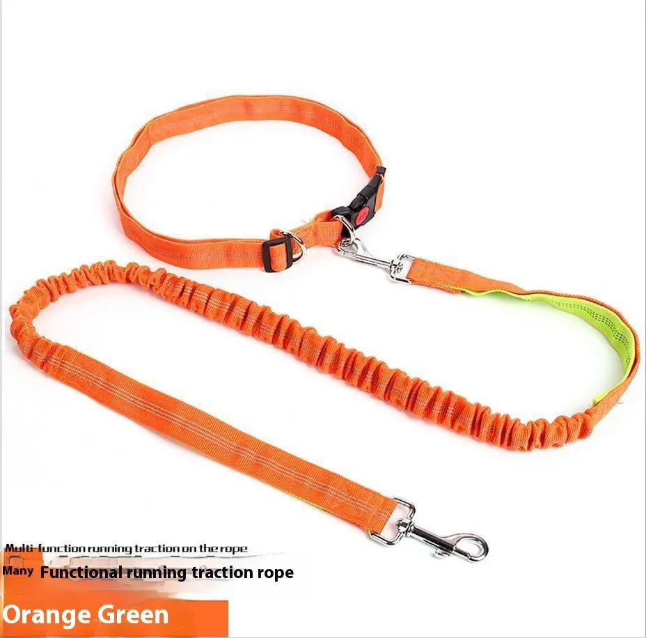 Grey and green elastic dog leash with reflective strip, showing clip and 2.5cm nylon width.