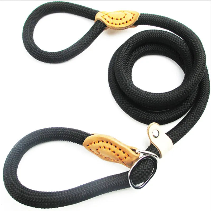 Brown nylon dog leash with P chain hand grip showing 2.1 metre length