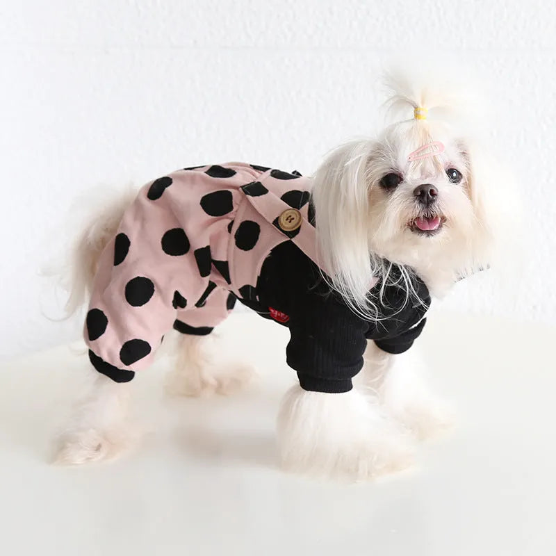 Petstyle lapel collar dog clothing in a four-legged suit style on a model dog.