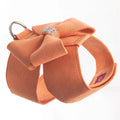 Puppy wearing a blue microfiber chest strap with a decorative bowknot, showing the adjustable lead attachment.