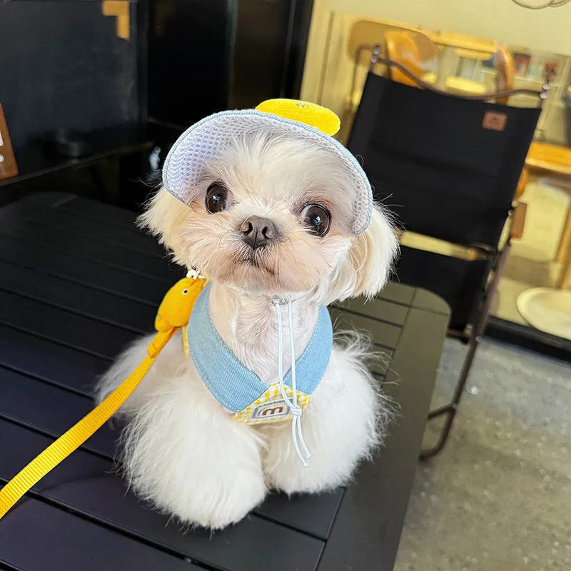 Pet harness and leash set with wire rope pulling section, three-piece cat clothes, and hat accessory