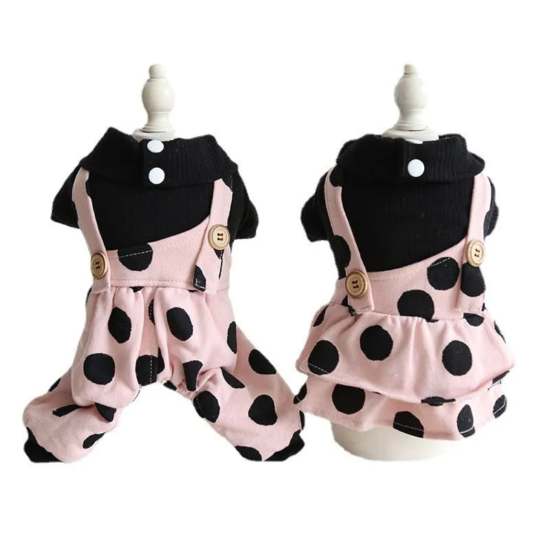 Petstyle lapel collar dog clothing in a four-legged suit style on a model dog.