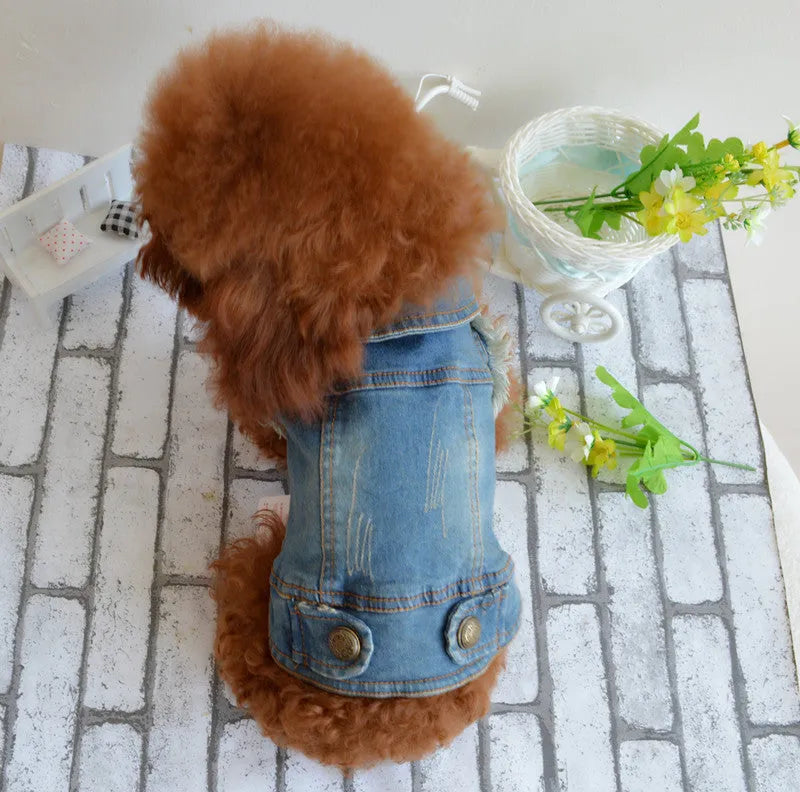 Denim dog vest with retro scratch pattern for small breed pets in dark and light colour options