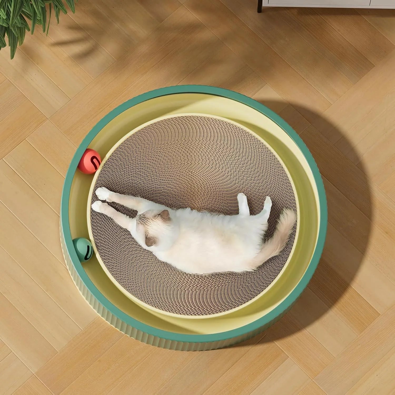 Large green cat scratching board with ball toys measuring 45cm diameter for indoor cats