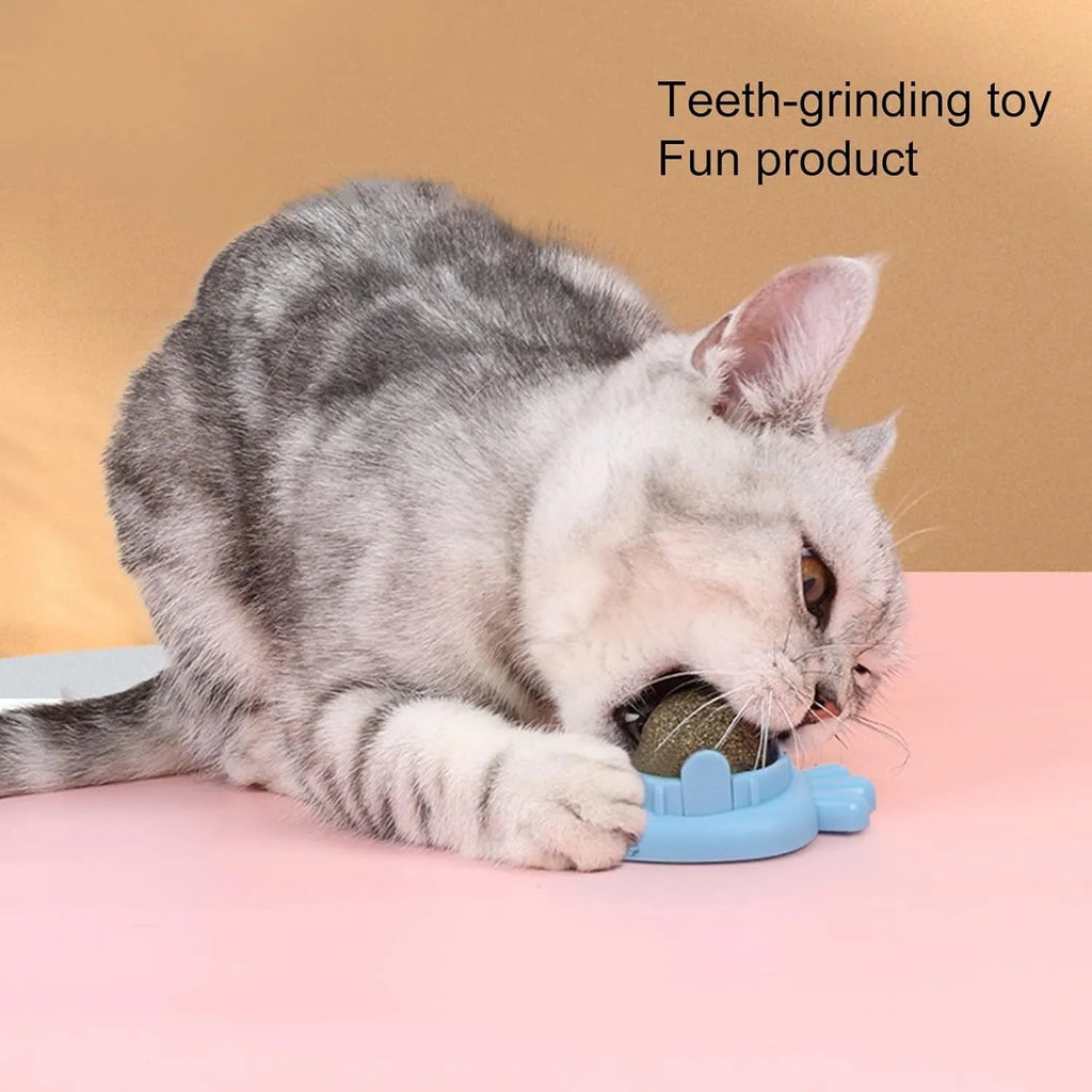 Blue carrot-shaped catnip ball with self-adhesive backing for wall-mounted dental cleaning