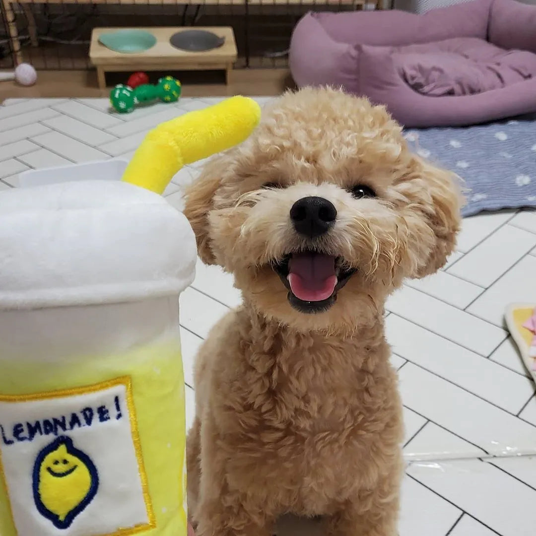 Yellow plush lemon tea cup pet toy with snack pocket, BB call squeaker, and separate cup component.