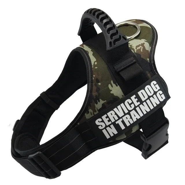 A reflective adjustable dog harness vest shown on a dog, with a handle and D-ring for leash attachment.