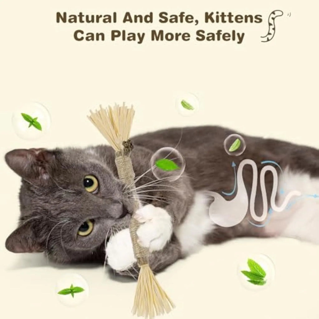 Three natural silvervine chew sticks for cats with sisal rope, shown with Fine and Thick diameter options.