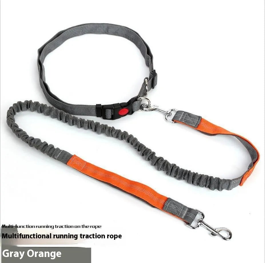 Grey and green elastic dog leash with reflective strip, showing clip and 2.5cm nylon width.
