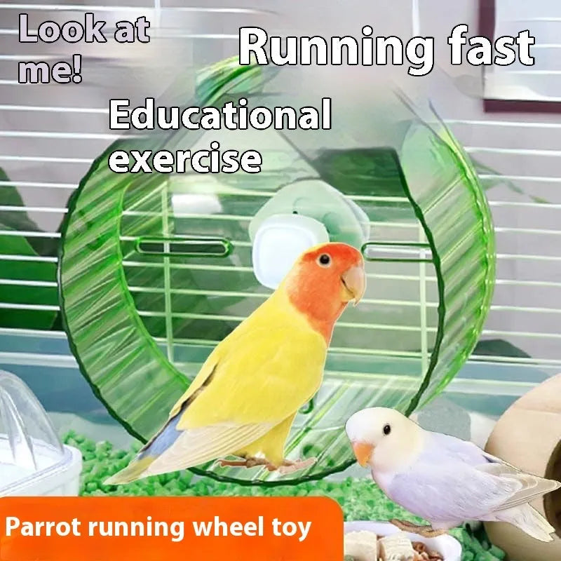 21cm plastic parrot running wheel bird exercise toy in transparent, green, grey, orange, or purple