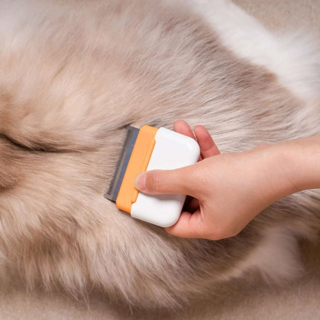 Blue double-sided pet grooming comb for cats and dogs with stainless steel teeth
