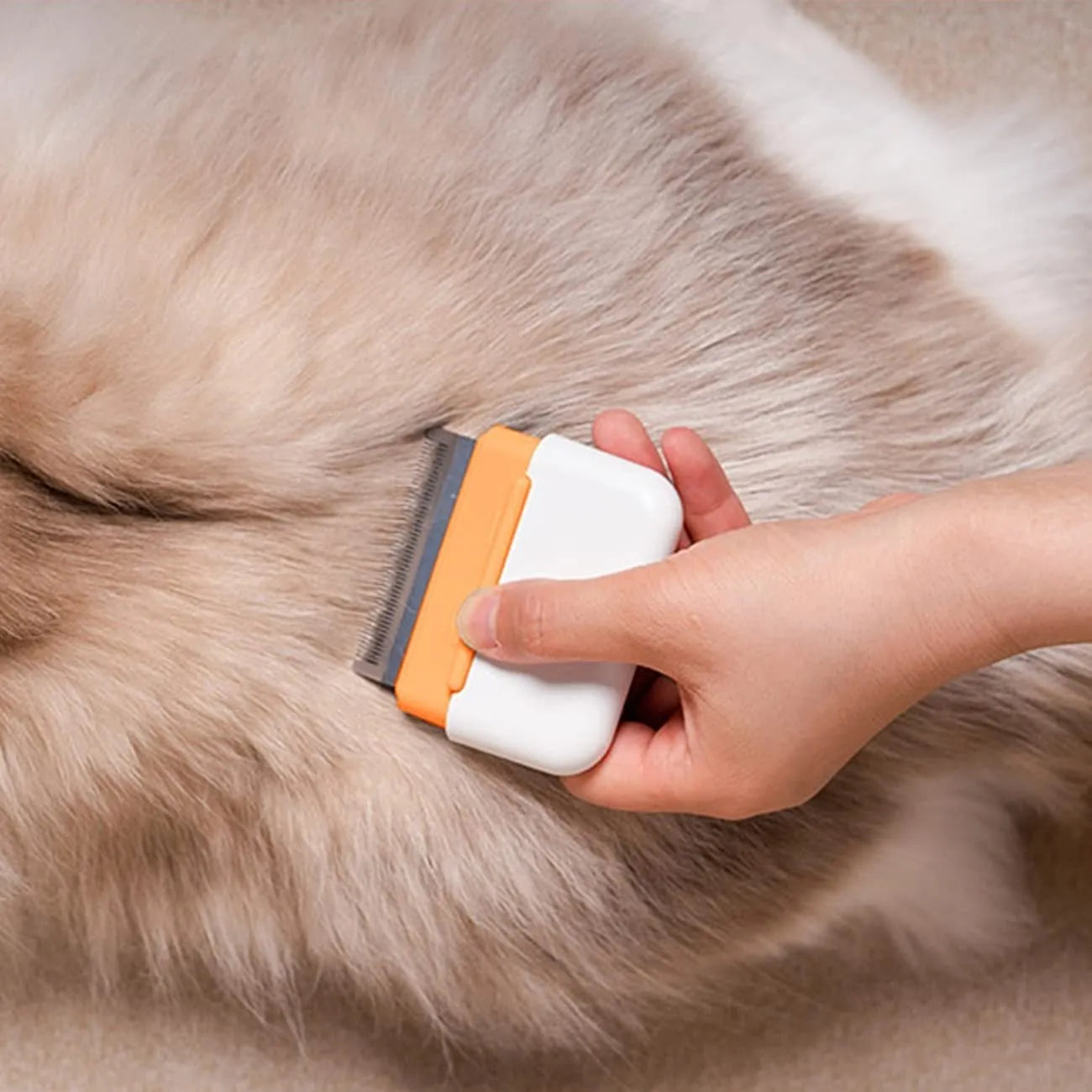 Blue double-sided pet grooming comb for cats and dogs with stainless steel teeth
