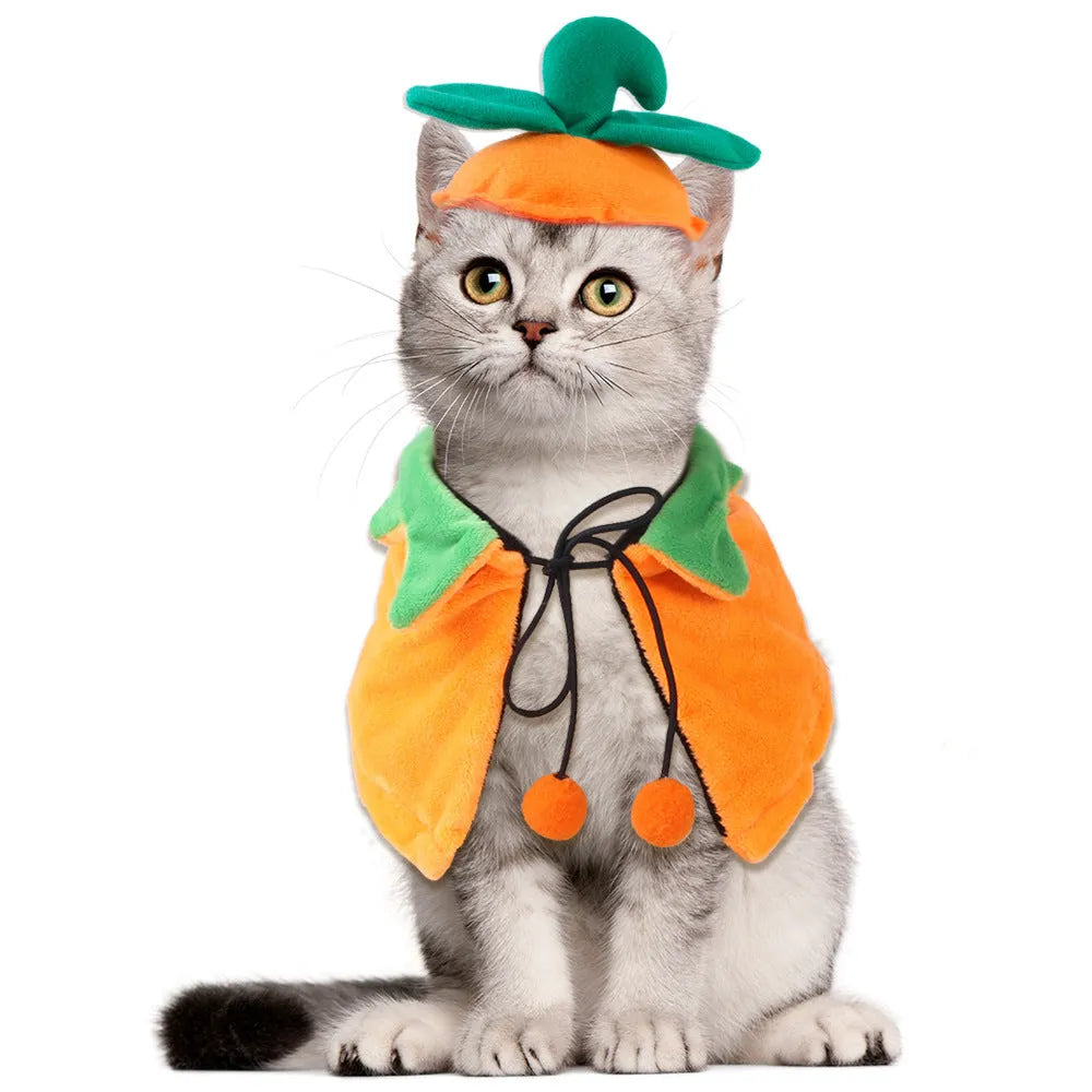 Orange plush Halloween pumpkin cloak for a dog or cat showing double-sided design