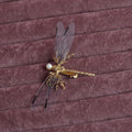Golden dragonfly side clip headdress for women with alloy metal construction