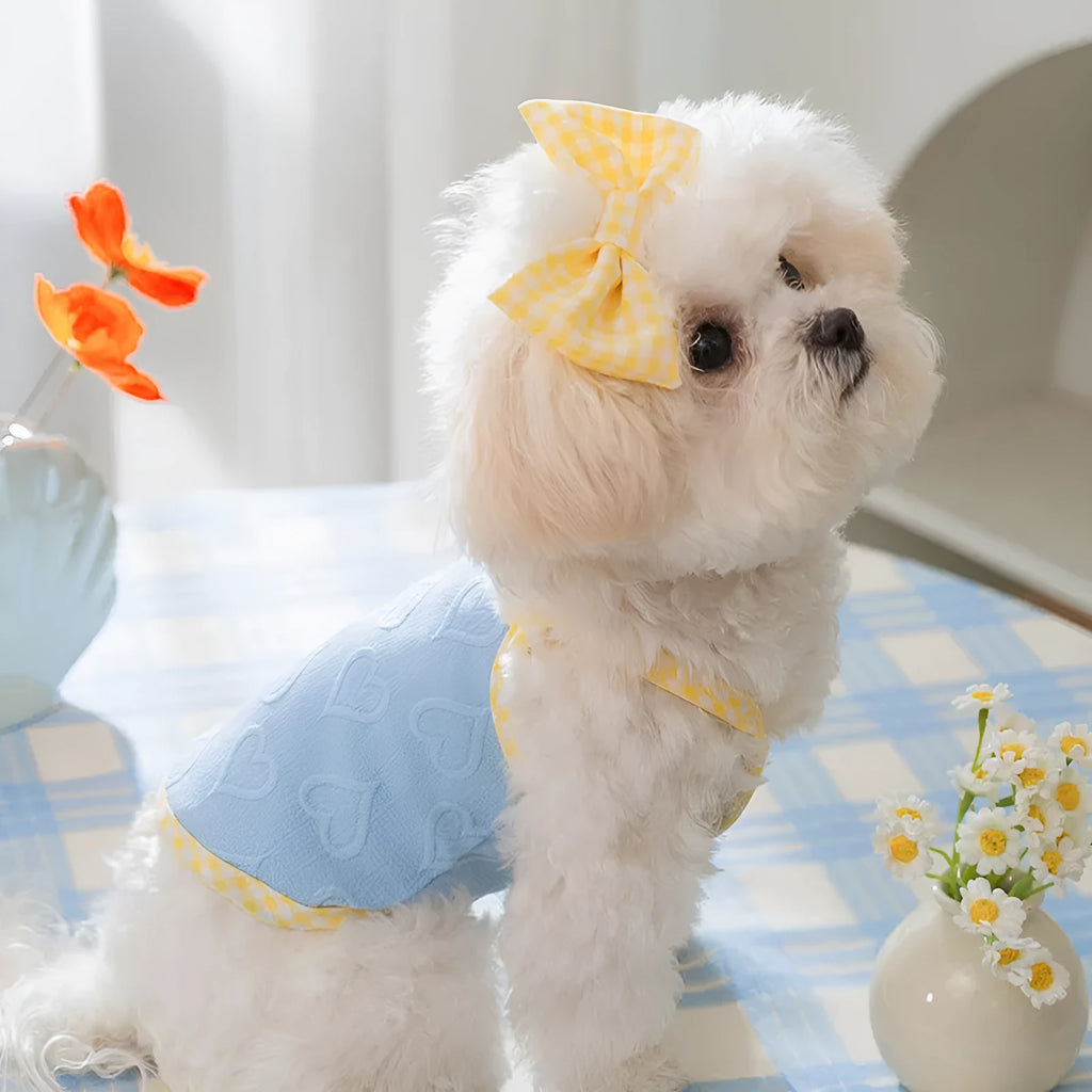Small dog wearing heart pattern vest with bow suspenders in blue colour, showing elastic fit and decorative design