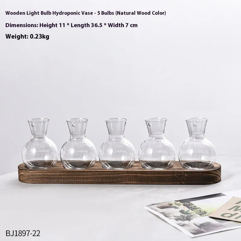 Wooden frame holding transparent glass hydroponic vases in modern home setting