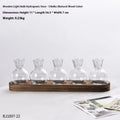 Wooden frame holding transparent glass hydroponic vases in modern home setting