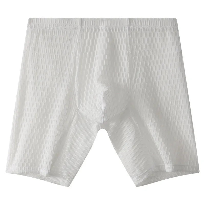 Men's lengthened transparent lace boxers in nylon fabric with mid waist design