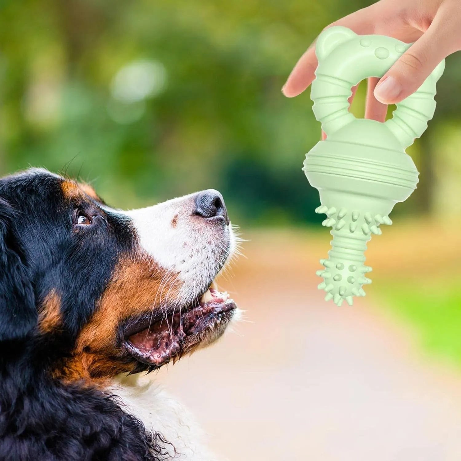 Blue rubber dog chew toy with textured surface and bell inside, shown next to a tape measure indicating 13.5cm diameter.