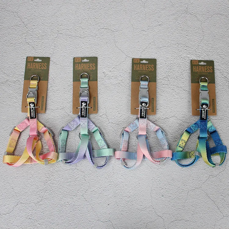 Gradient colour nylon dog leash in pink and yellow, shown as a collar-style lead.