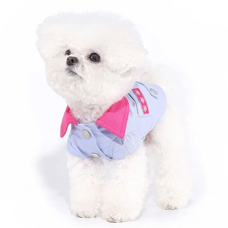 Blue and purple polyester dog vest with traction ring for small breeds in summer