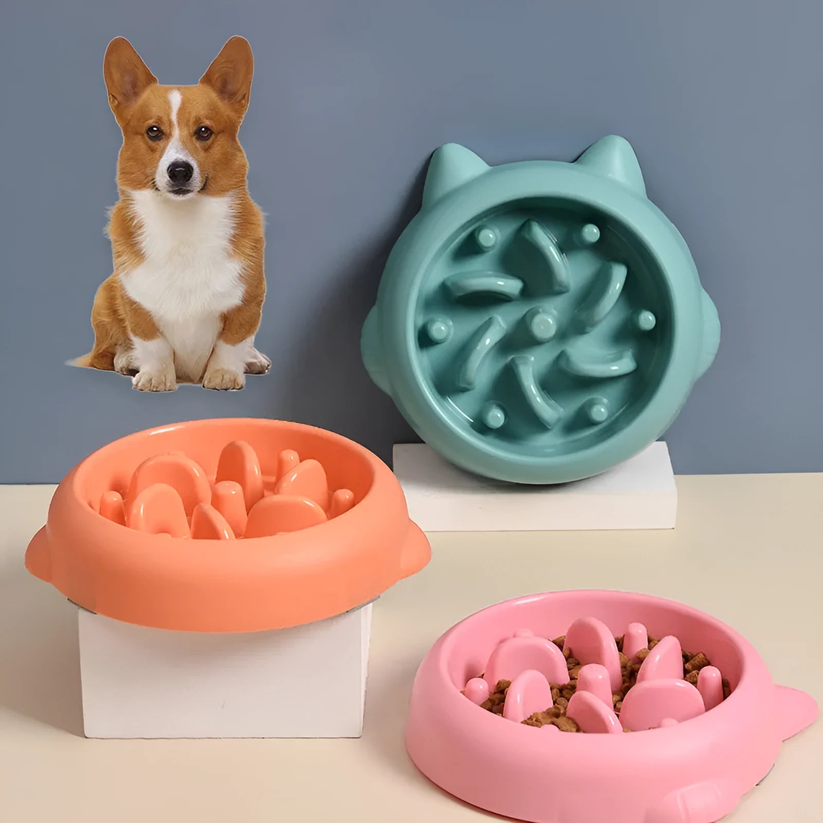 Bone-shaped slow feeder pet bowl in PP plastic showing interior maze design for slower eating