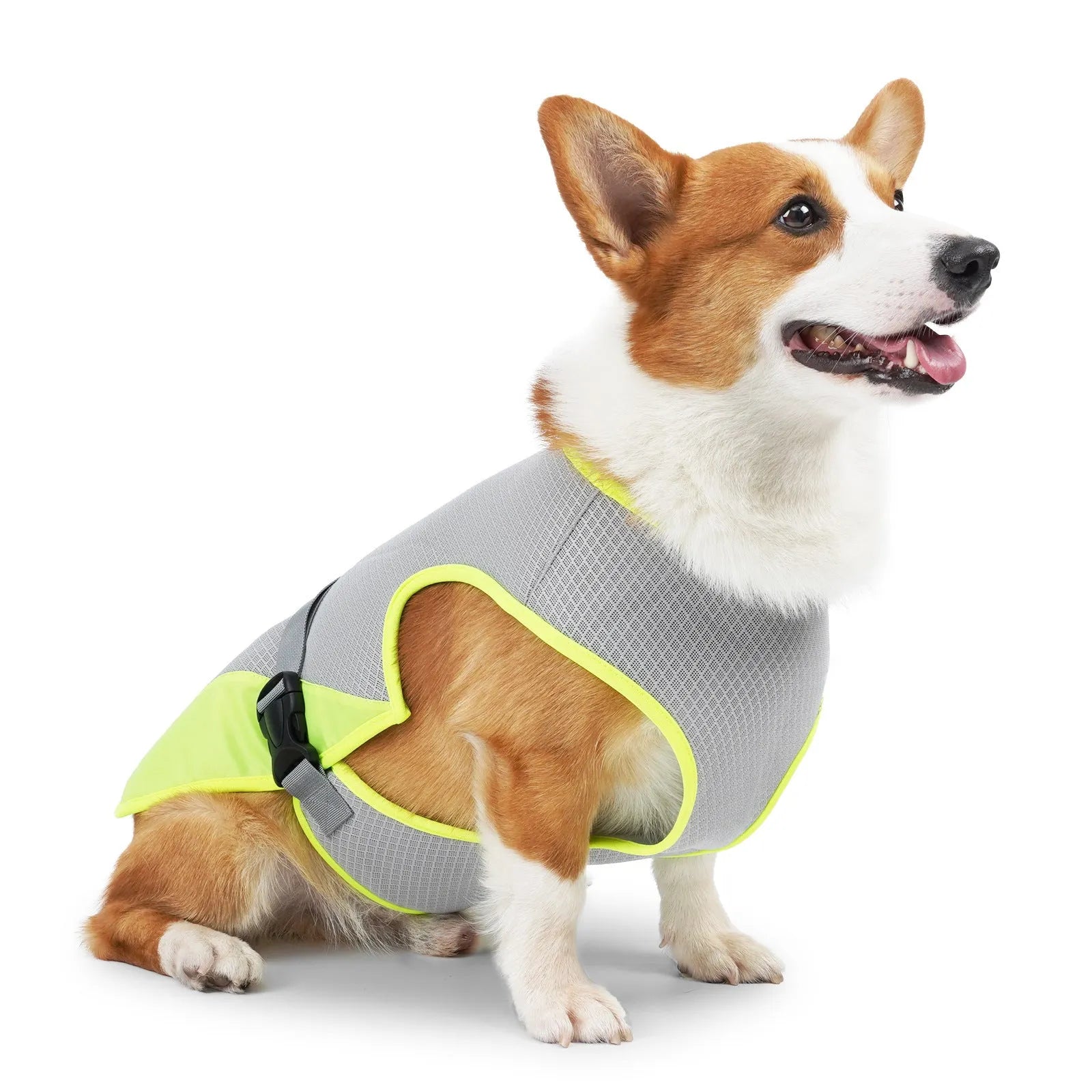 Light grey breathable polyester mesh cooling vest for a dog on a size chart showing S, M, L, XL measurements.