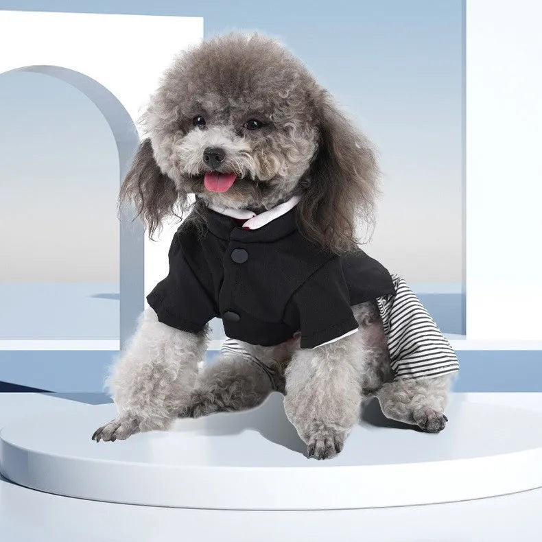 Thin cotton poodle clothing in skirt and trouser styles for warm weather
