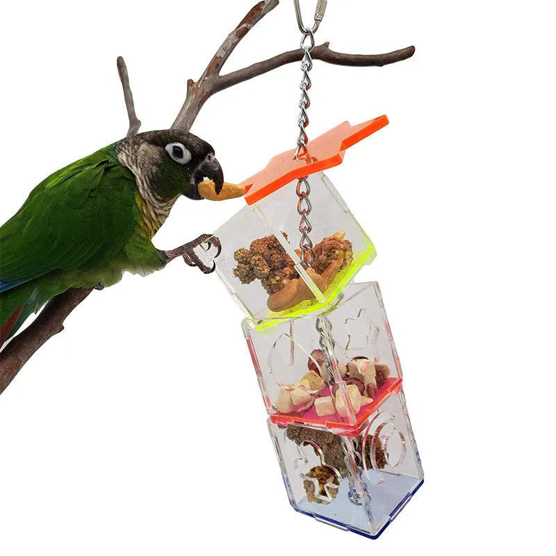 Clear acrylic bird foraging toy for parrots with hidden treat compartment