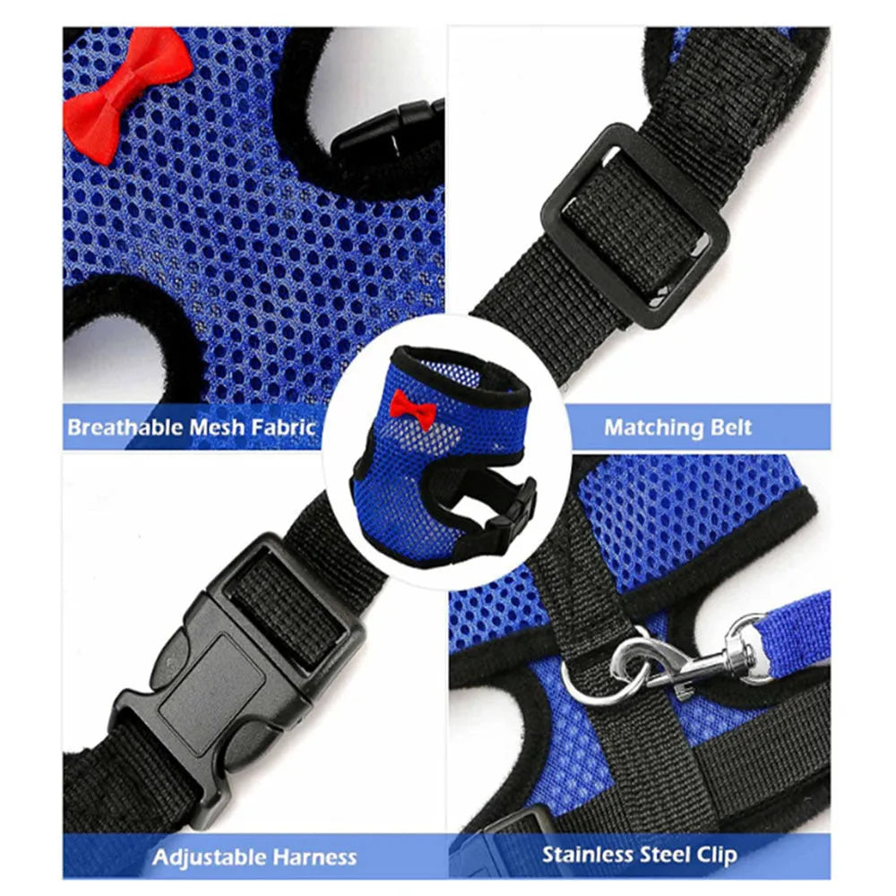 Poultry chicken harness and vest set in chosen colour with adjustable collar and 110cm traction rope.