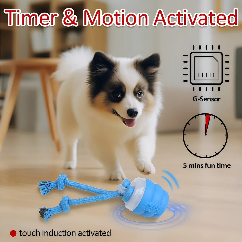 Sapphire blue electric toy ball with built-in dog leash for small and medium dogs