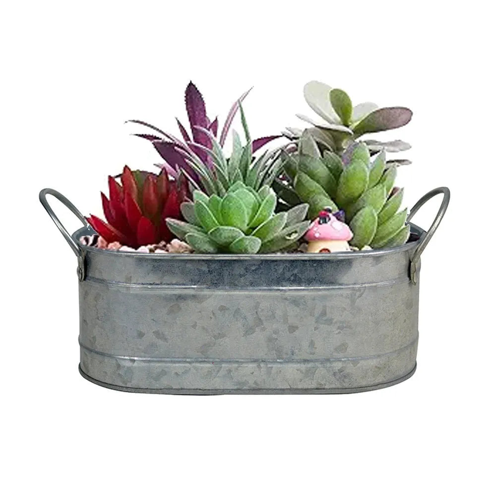 Rectangular galvanised iron desktop flowerpot for succulent plants.