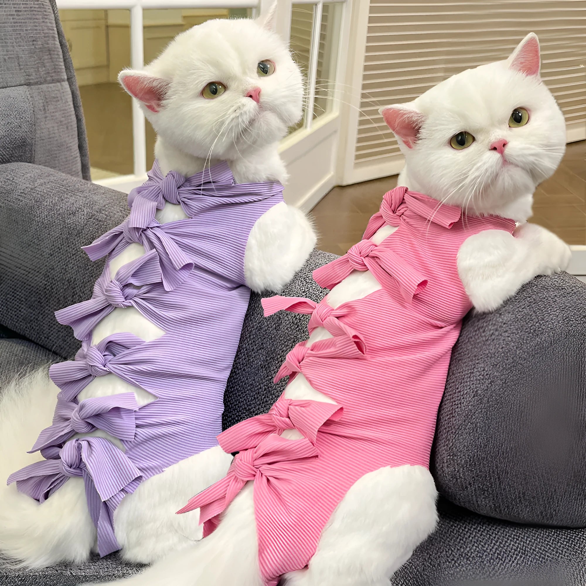 Cat wearing a pink lace-up polyester sterilisation suit after surgery, showing the adjustable tie closure.
