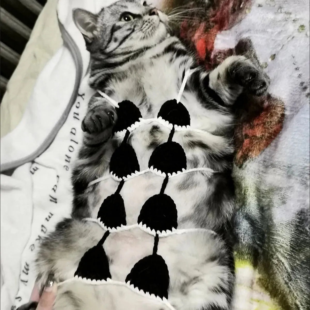 Cat wearing sweet style bikini costume in multiple colour options for Halloween and party events