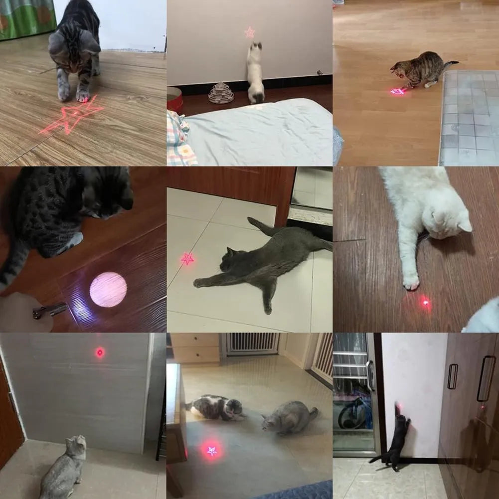 USB rechargeable infrared laser teaser toy for cats with keychain attachment
