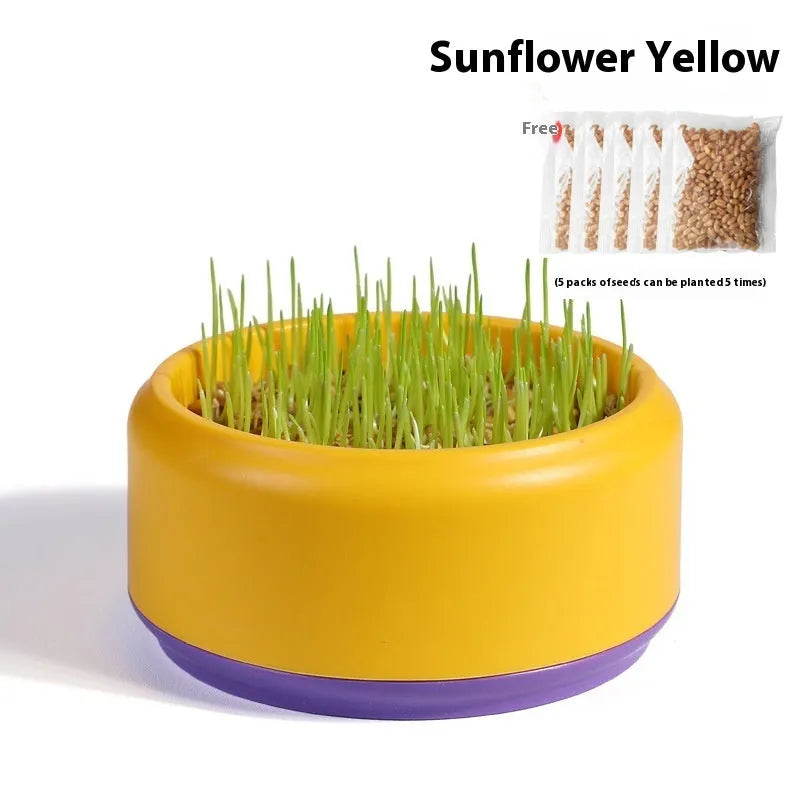 Blue hydroponic cat grass kit with plastic cup and seed packs for soilless indoor growing
