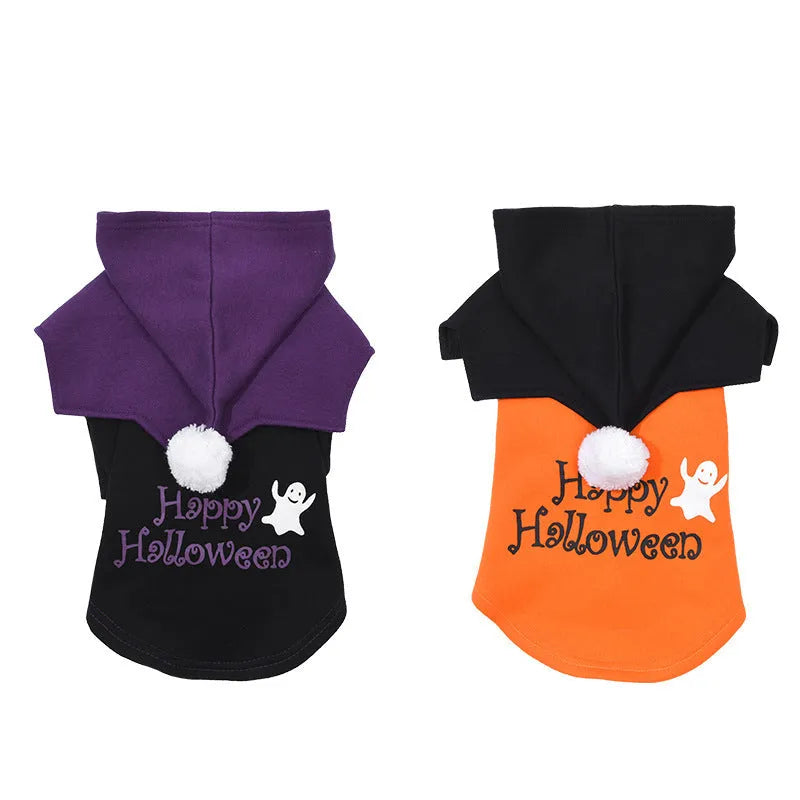 Halloween pumpkin dog costume with black and orange cotton sweater and matching shawl